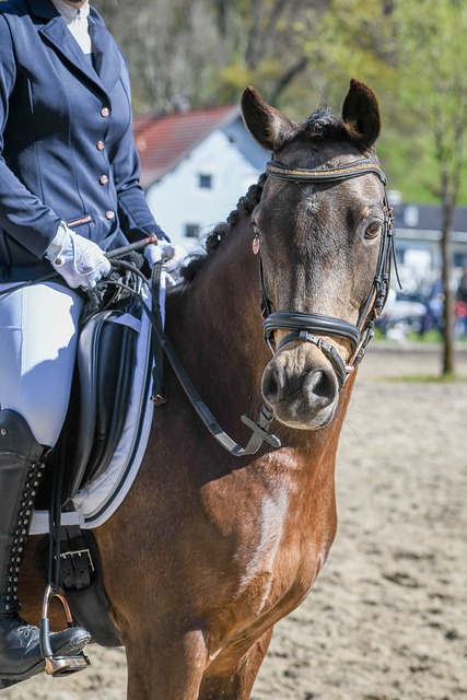 亚洲杯的重 亚洲杯的重