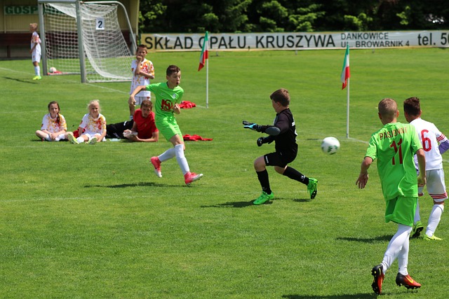 的认知差异 的认知差异