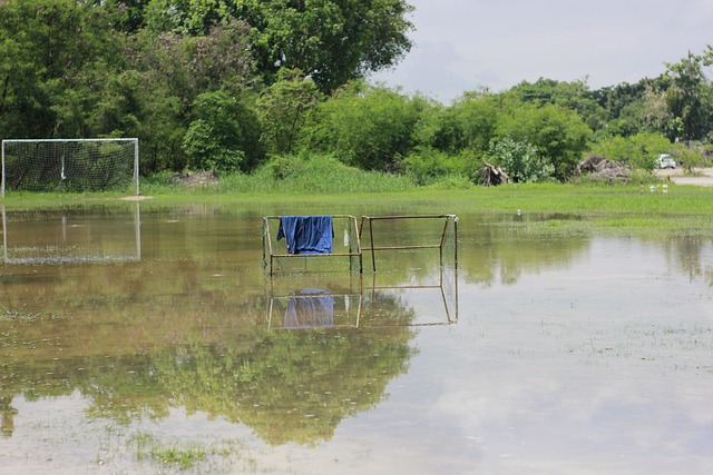 力和比赛经 力和比赛经