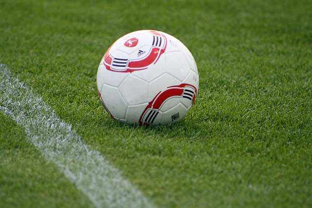 他们利用智 他们利用智