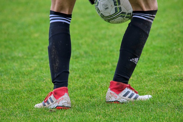 也是维护全 也是维护全