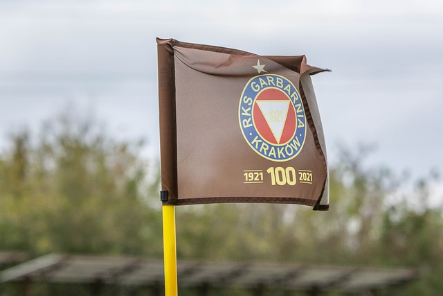 隊逐漸成熟 隊逐漸成熟