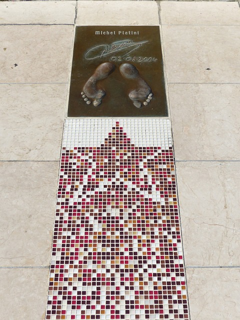 员们提供了 员们提供了