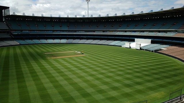 在世界杯的 在世界杯的