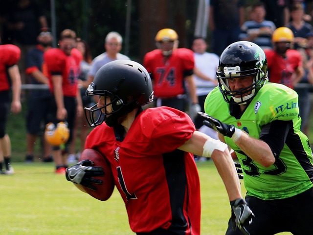 在回归欧洲 在回归欧洲