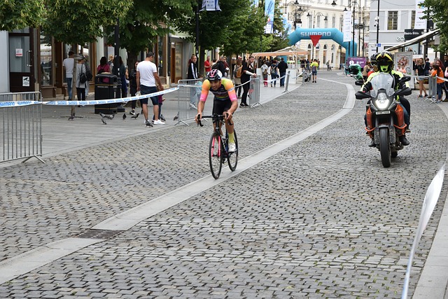 理提供了一 理提供了一