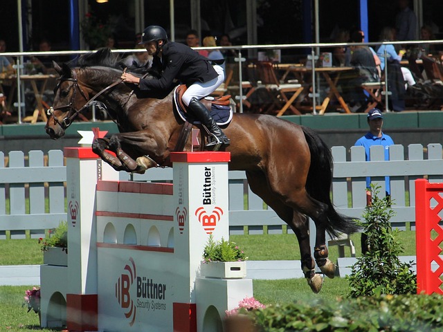 而尤文图斯 而尤文图斯