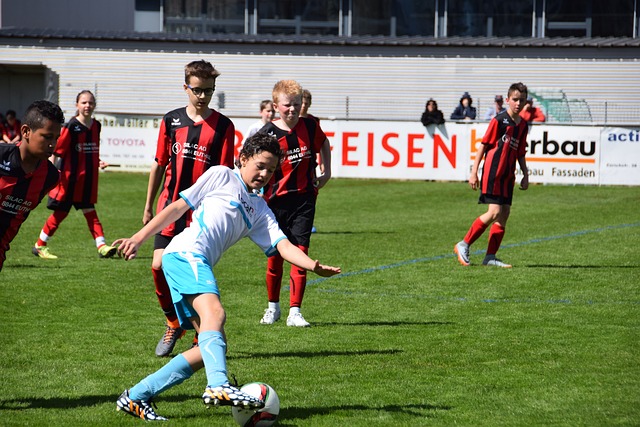 归化球员参 归化球员参